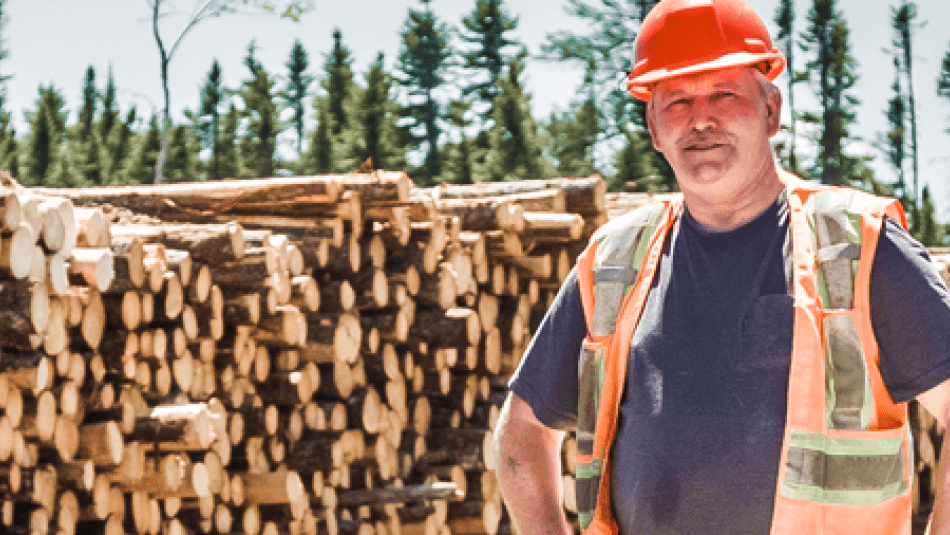 Forestry sector unifor
