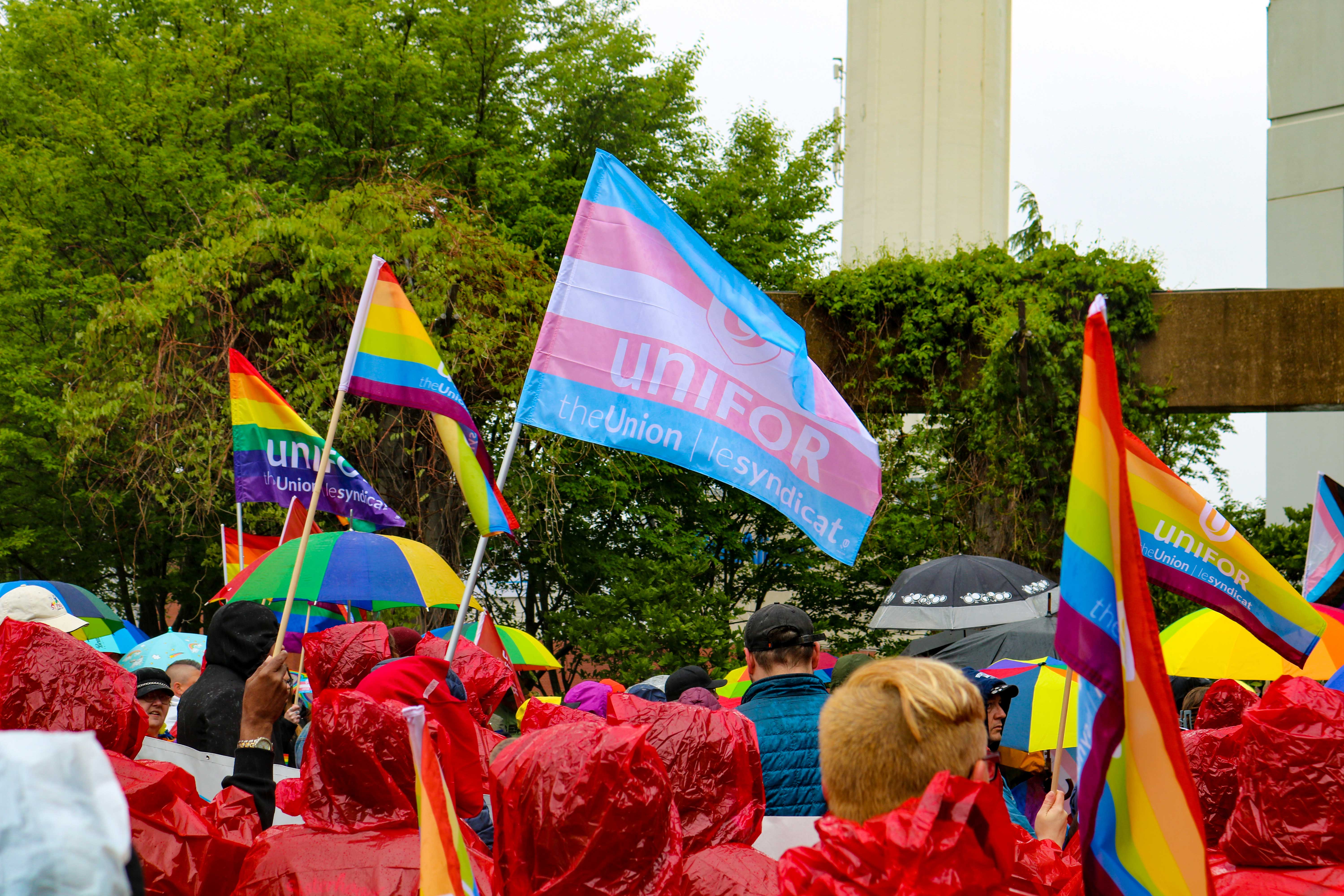 The back of people heads wearing rain ponchos marching with trans and pride flags