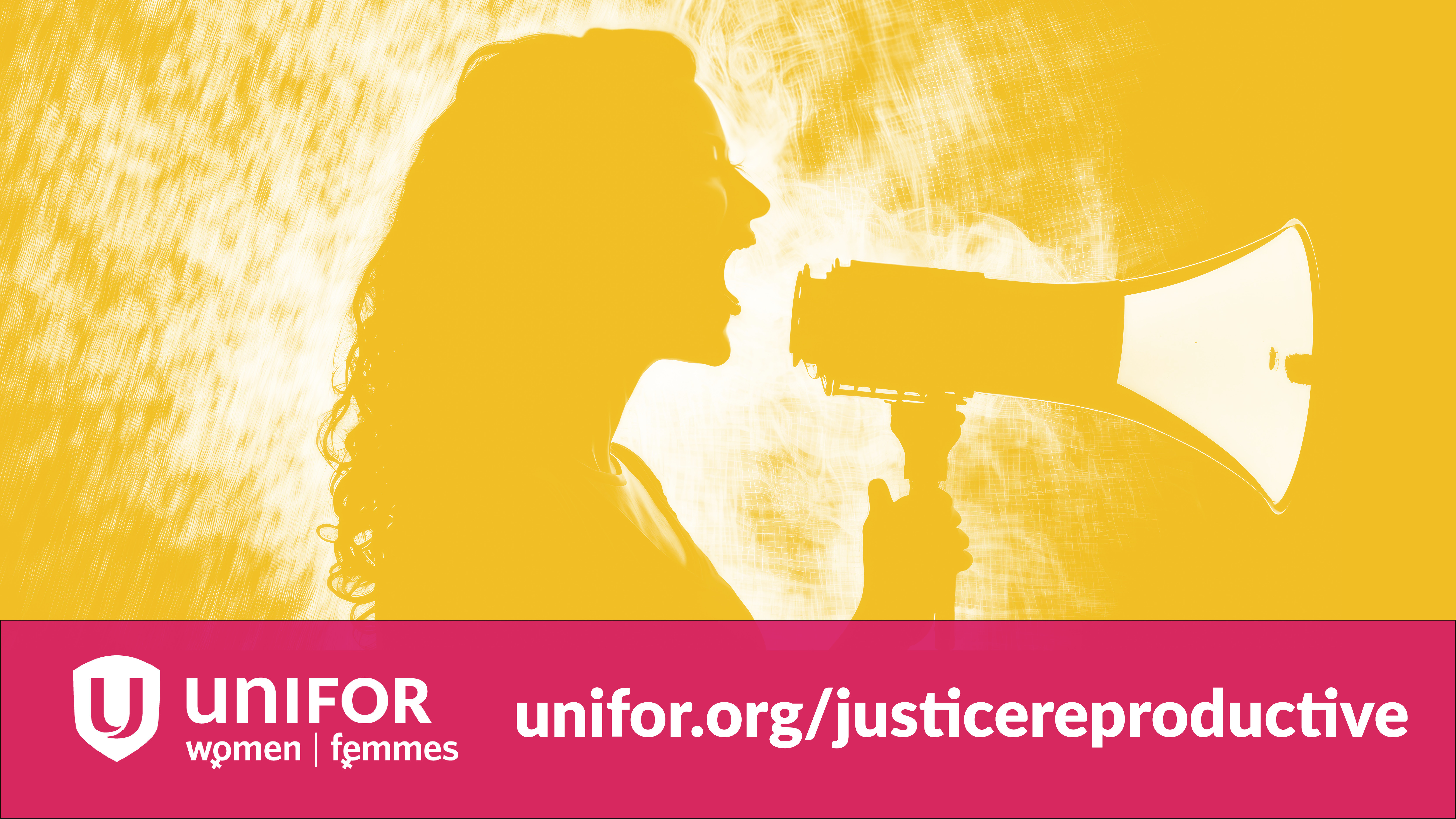 Graphique sur la justice reproductive