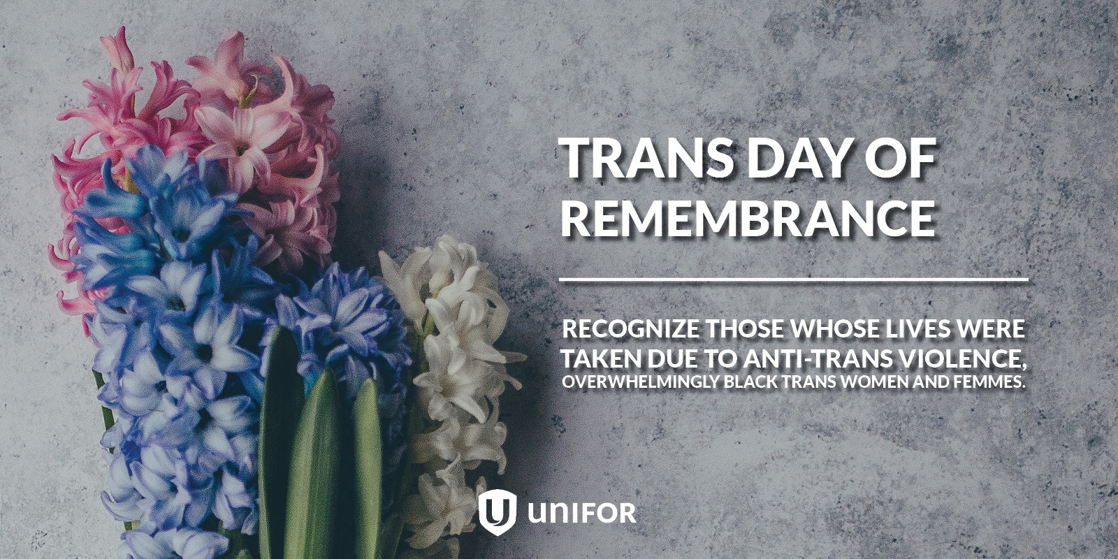 Pink, blue and white flowers text reads : Trans day of rememberance, Unifor logo