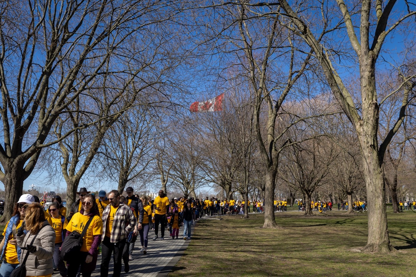 A crowd walking on a park path on a beautiful sunny spring day with budding trees.