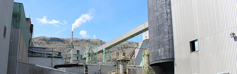 Domtar Mill
