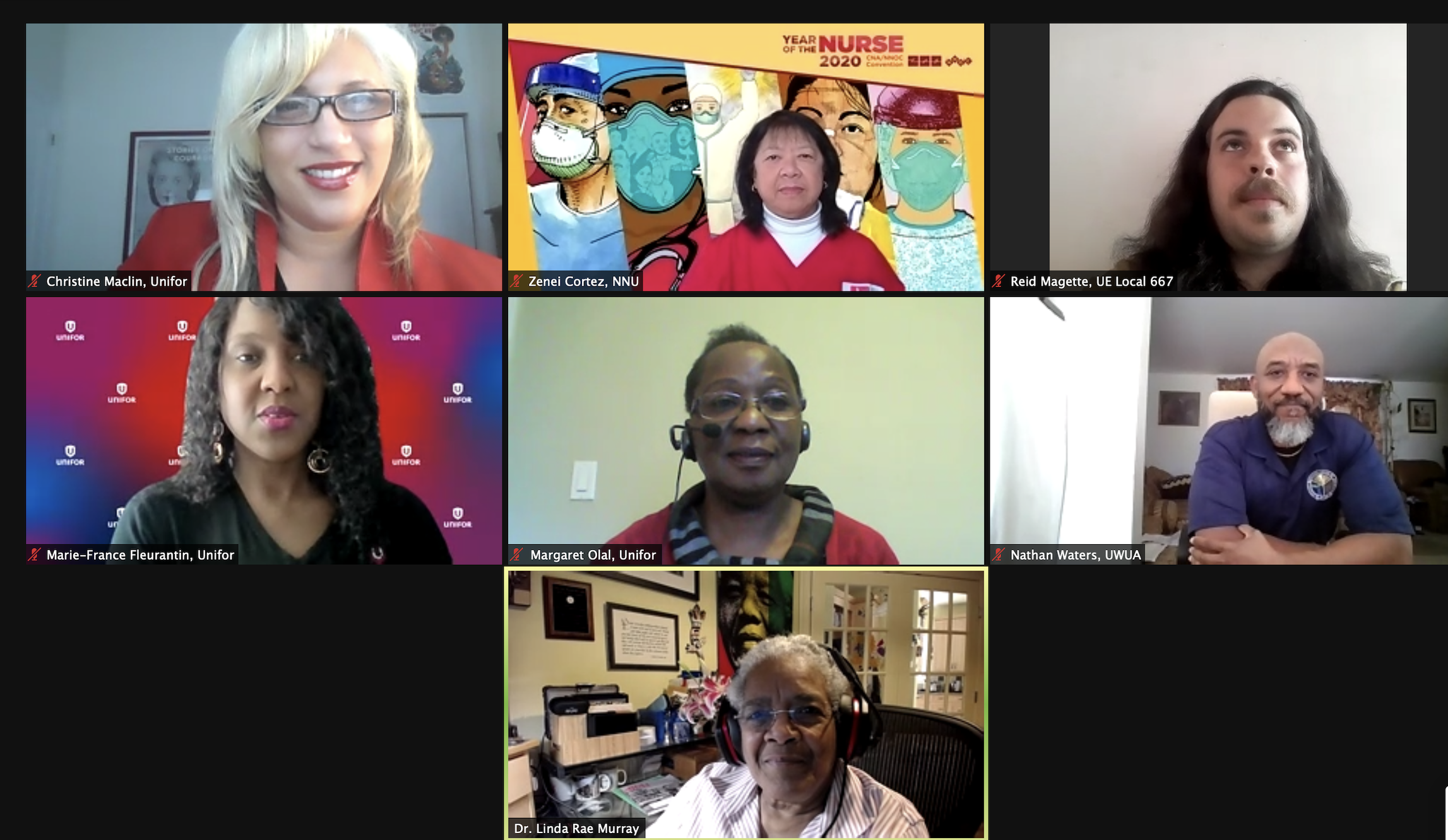 Diverse group of panelists on zoom.