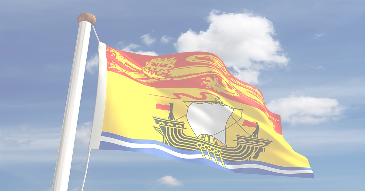 The New Brunswick provincial flag.