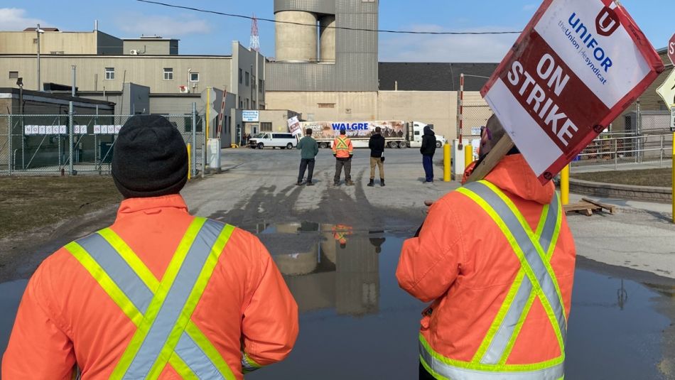 Windsor Salt picket line Two workers on picket line in hi viz jackets facing Windsor Salt facility in distance.