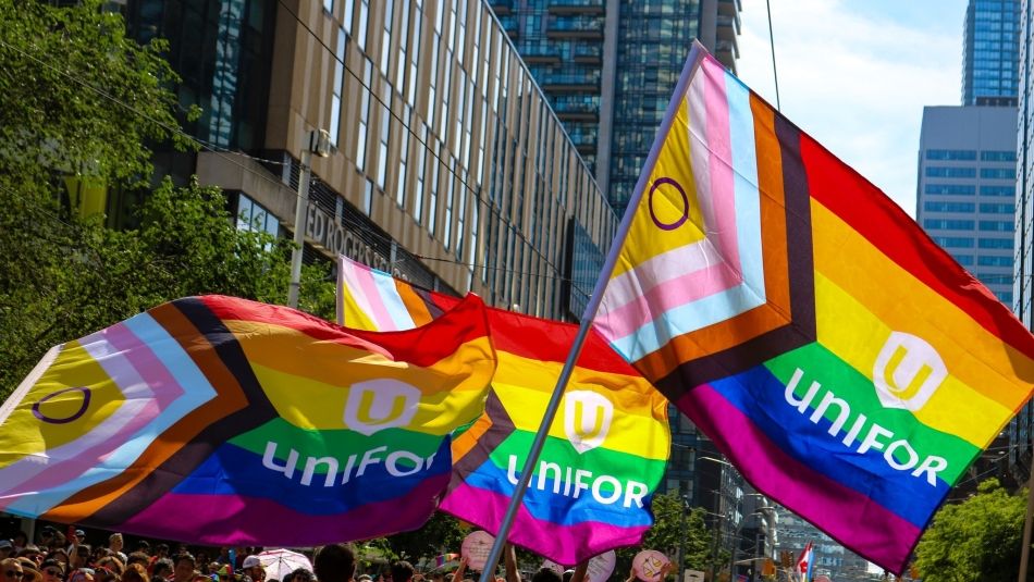 a group of people holding trans flags in the air