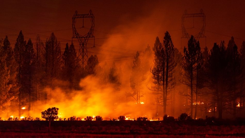 incendie de forêt