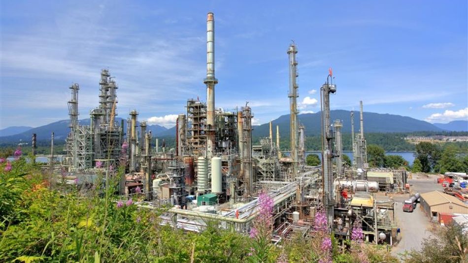 Refinery site with wildflowers in the foreground and mountains behind.