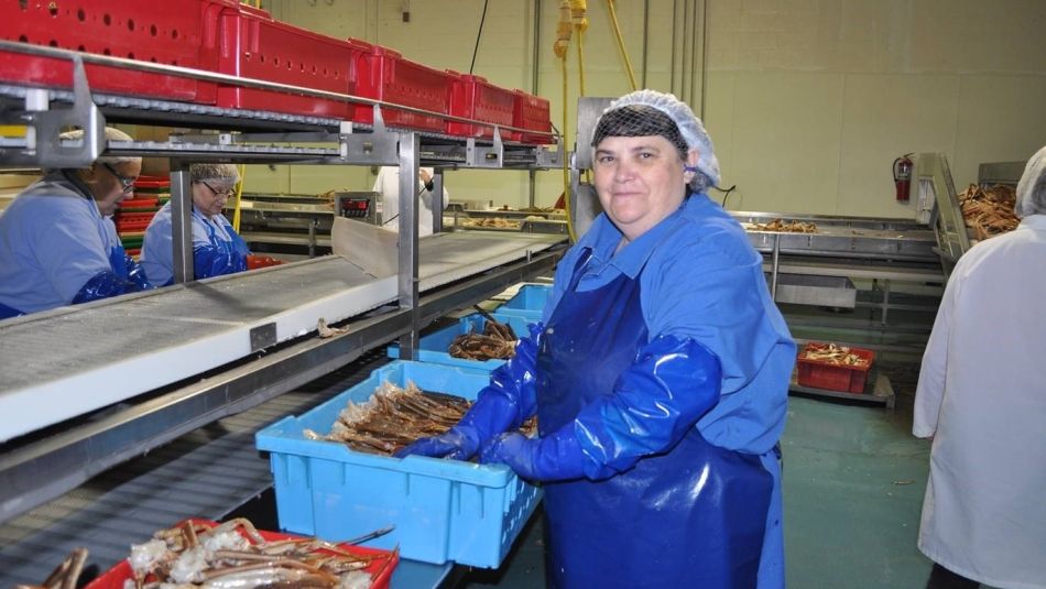 Un travailleur en filet à cheveux et gants et tablier en caoutchouc bleu dans une installation industrielle de poisson.