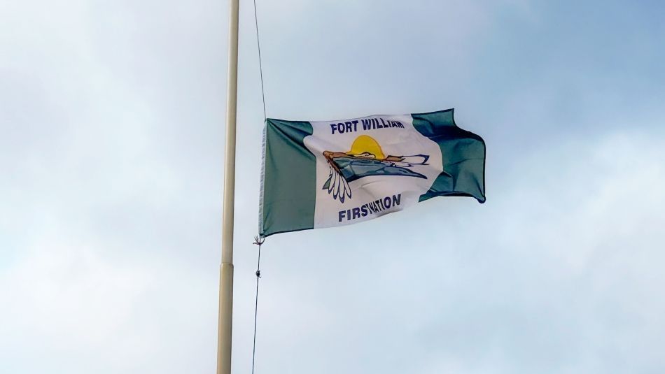 Drapeau avec deux barres verticales vertes, un aigle et un soleil sur fond blanc