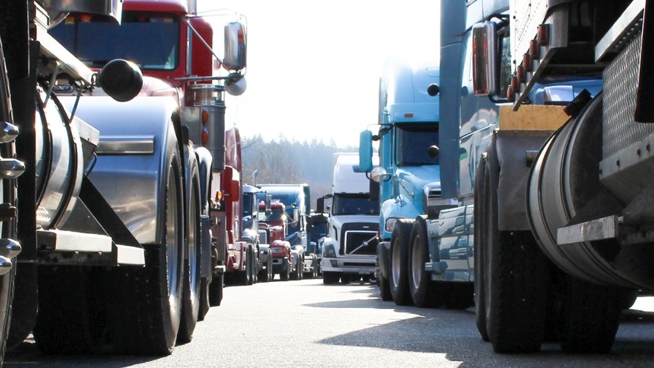 Two long rows of trucks from a low angle.