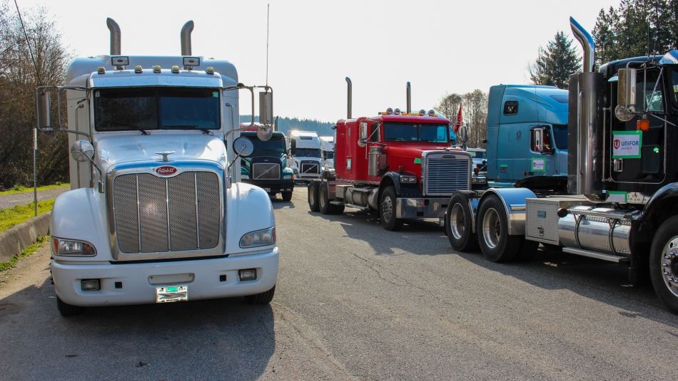 Two rows of tractor trailer trucks