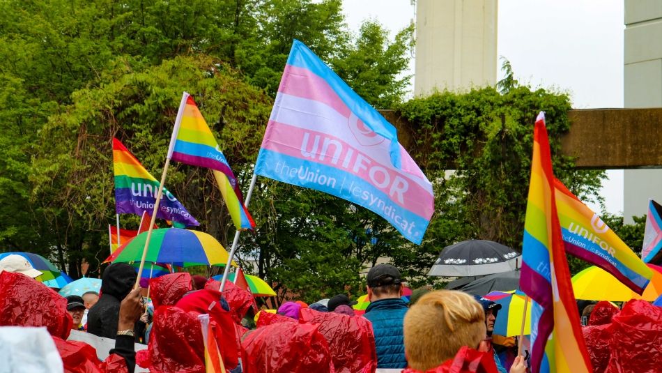 The back of people heads wearing rain ponchos marching with trans and pride flags