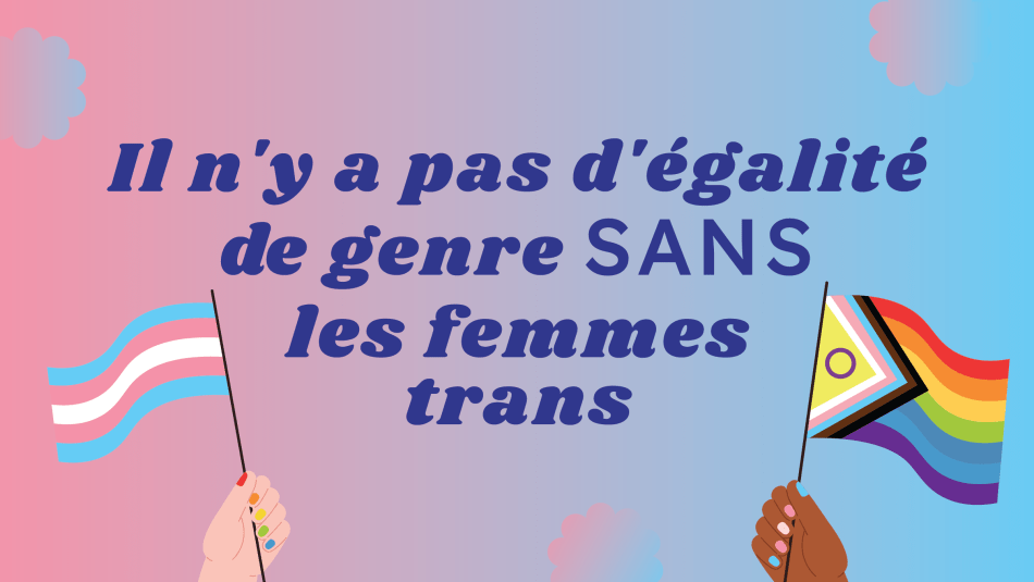 Un  fond dégradé rose-bleu avec les mots "Il n'y a pas d'égalité des genres sans les femmes trans". Un drapeau des droits des trans et un drapeau LGBTQ+ flottent de chaque côté du texte.