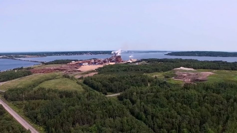 An aerial view of a pulp mill in the distance surrounded by leafy forest.