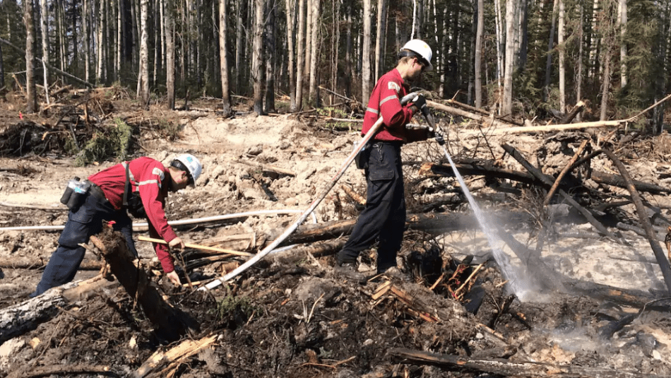 Firefighters watering a dead burnt forest