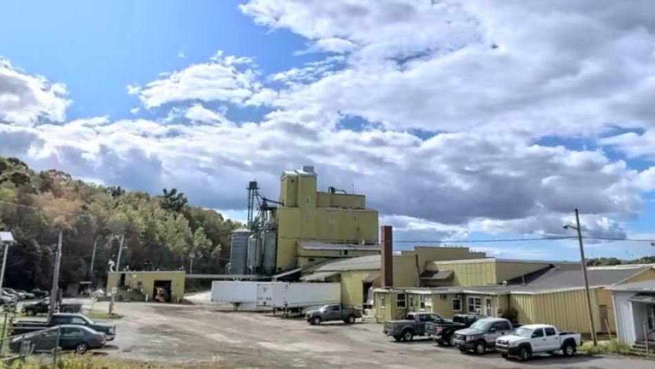 exterior sollio building