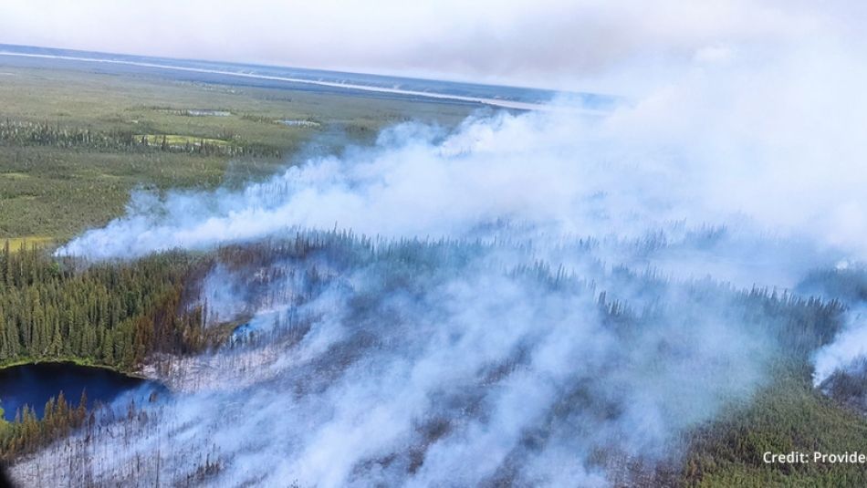 A plane is flying over a forest with smoke coming out of it.