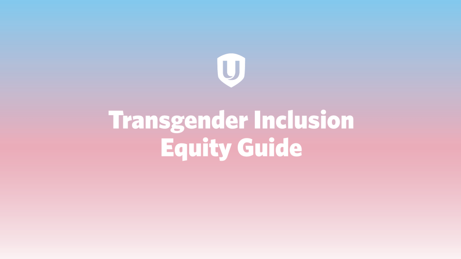 Pink and blue gradient in background with "Trans Inclusion Equity Guide" written above