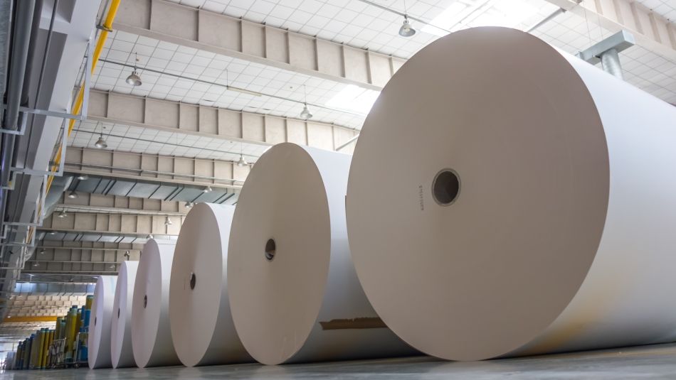 Industrial-sized rolls of paper lined up in a factory warehouse.