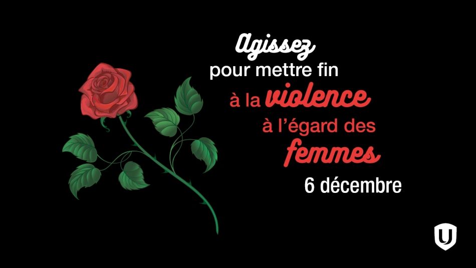 Une rose figure à côté du texte "Agir pour mettre fin à la violence à l'égard des femmes"