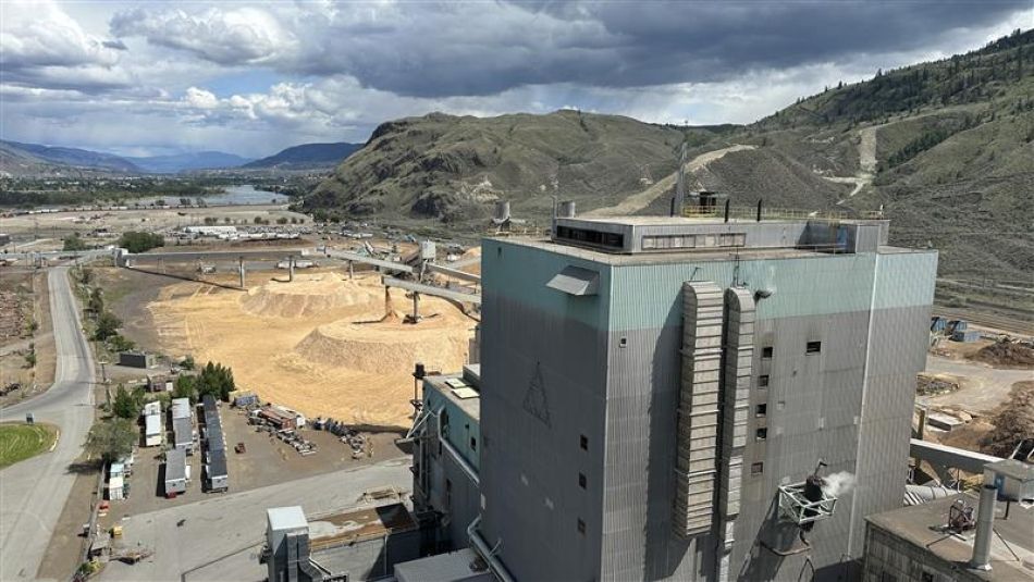 Usine de pâte à papier avec des montagnes en arrière-plan