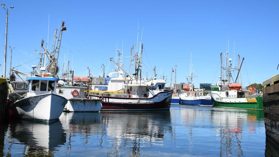 fishing boats in the harbour