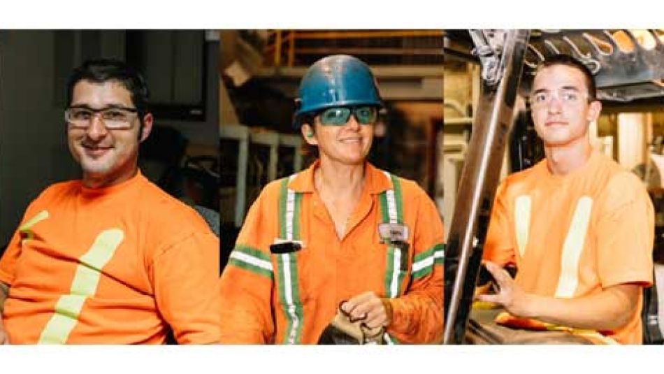 montage of forestry workers wearing orange safety vests