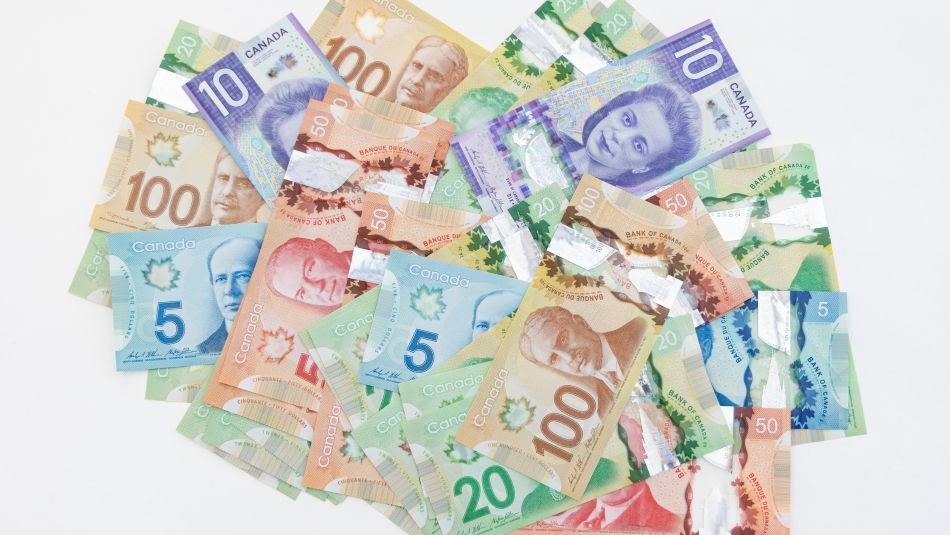 Curiosité canadienne