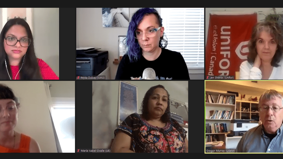 A screenshot of six participants during an online webinar.