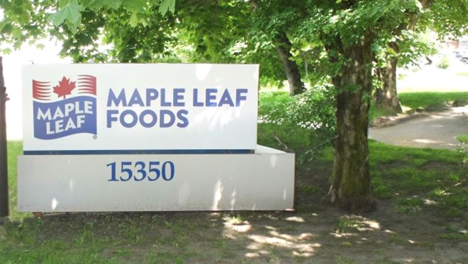 Logo d'Maple Leaf 