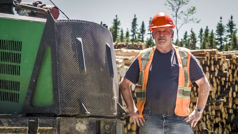 A man in has hard hat and safety vest stands infront of stacked logs