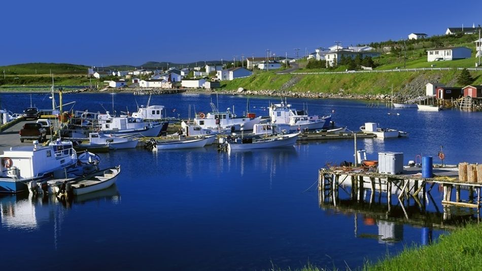 Fishing boats sit in the water of a coastal Newfoundland community.