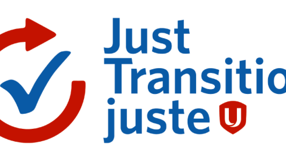 A graphic of a check mark in a circular arrow reads "Just Transistion."