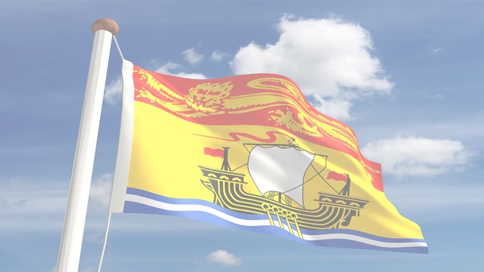 The New Brunswick provincial flag.