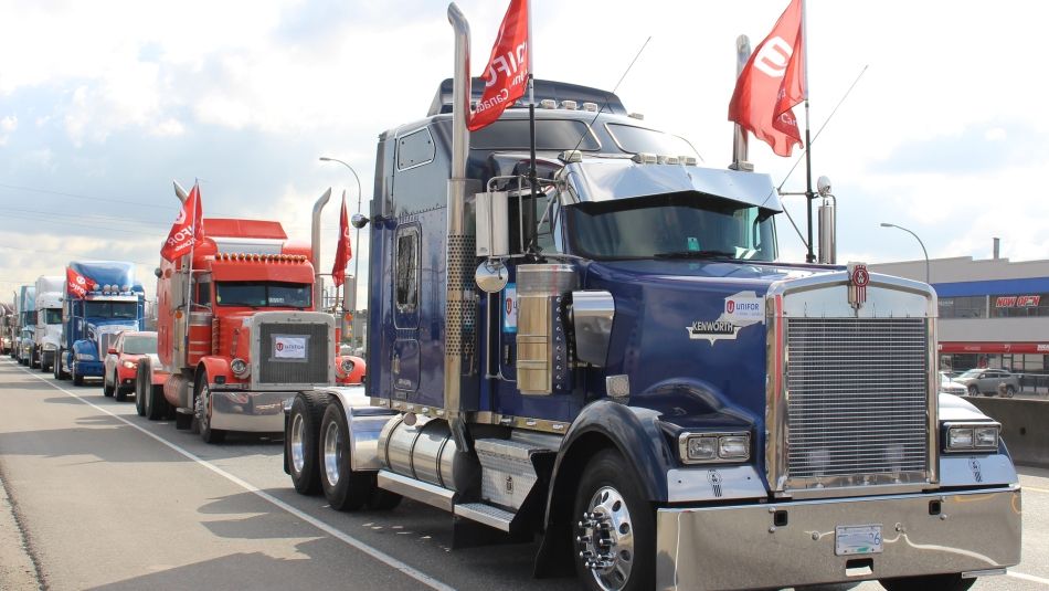 A line of trucks flying Unifor flags drives down a road.