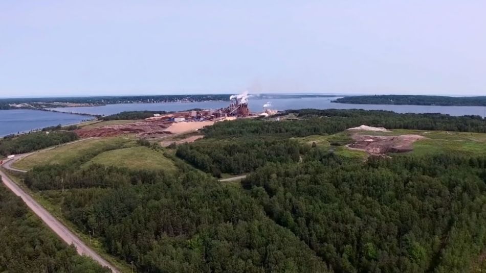 The Northern Pulp mill sits in the distance.