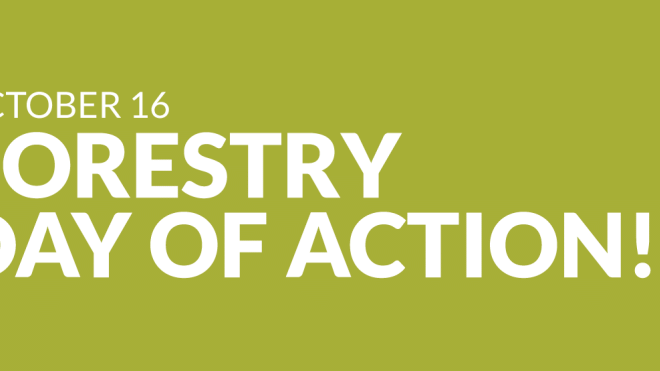 Green banner reading October 16 Forestry Day of Action
