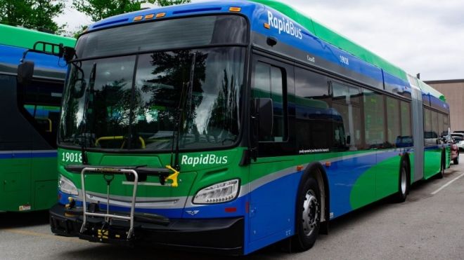 Translink Bus