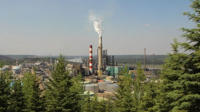 refinery visible in the distance from between tree cover.