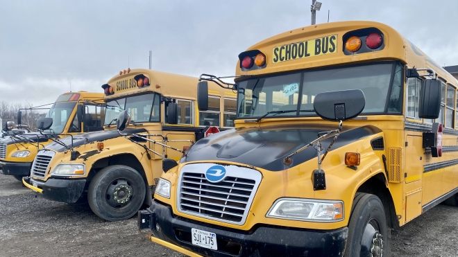 The front ends of school buses parked in a row.