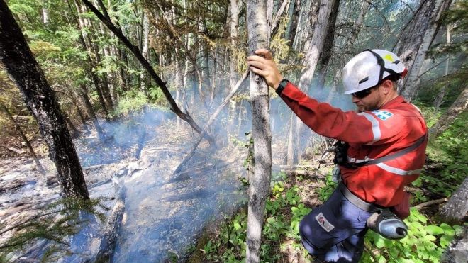 A firefighter looks down while he holds onto a tree with devistation in the distance.