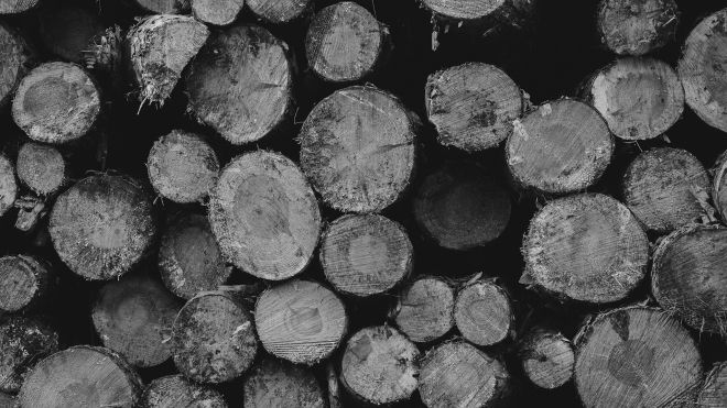 the end of a pile of logs with a black and white filter
