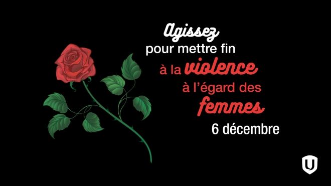 Une rose figure à côté du texte "Agir pour mettre fin à la violence à l'égard des femmes"