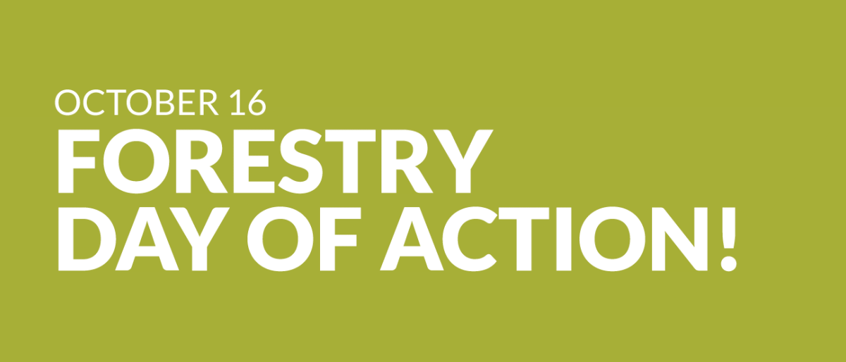 Green banner reading October 16 Forestry Day of Action