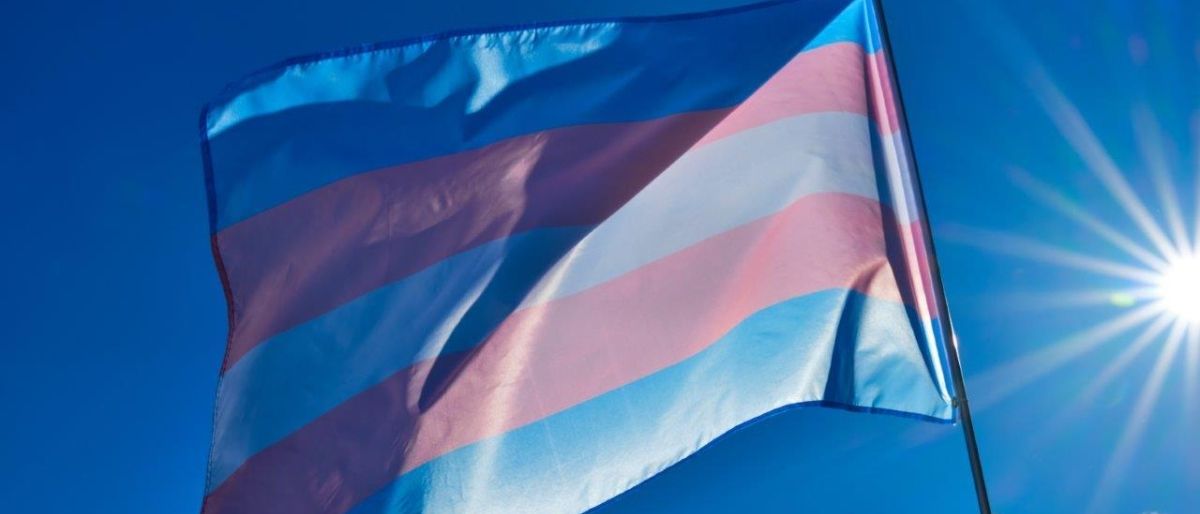 Trans flag in the wind