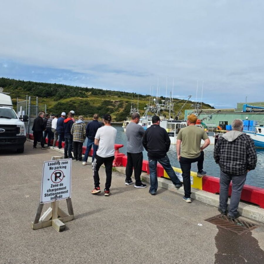 14 people stand lined up along a pier with their backs to the camera.