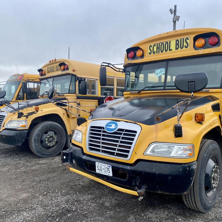 The front ends of school buses parked in a row.
