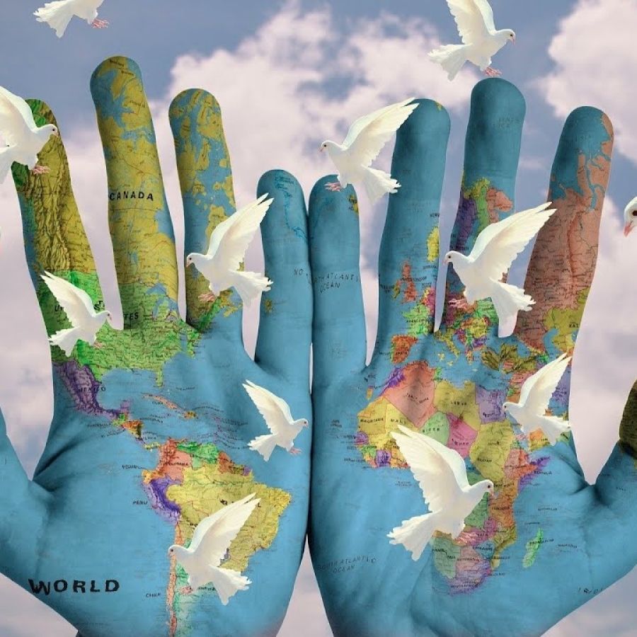 two hand with a word map open releasing doves